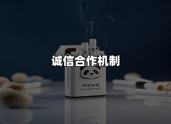 专业优势